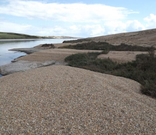 Discovering Chesil Beach and the Fleet