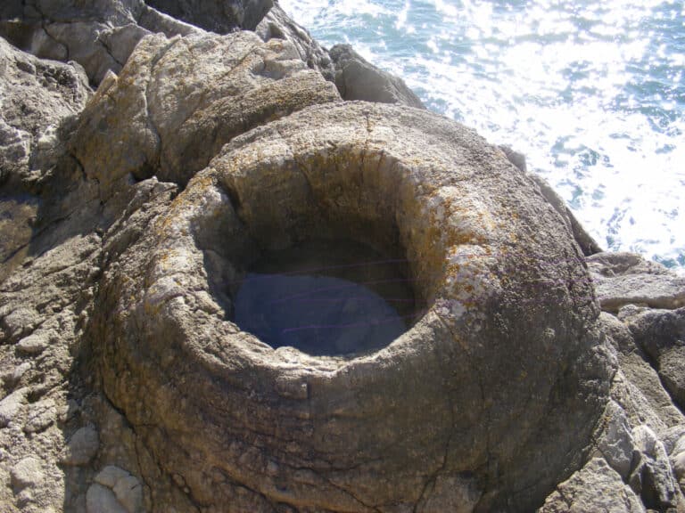 Discovering The Fossil Forest, Lulworth Cove
