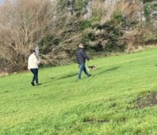 Dog walker assaulted and abused by couple in Poole