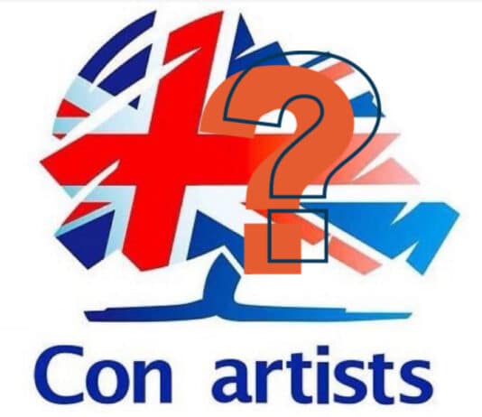 Re branding to ‘Local Conservatives’ working in Dorset