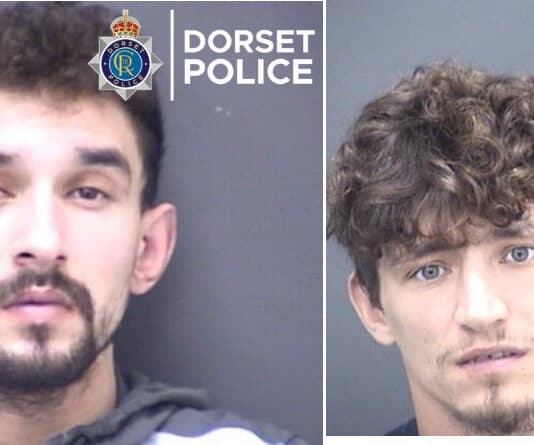 Men sentenced for serious offences against animals in Dorset