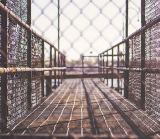 To understand whether the ruling class care what the public thinks, we must turn to the theory of the Iron Cage