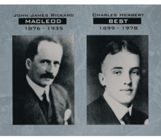 Diabetes: The three doctors who saved millions of people by selling the insulin patent for just $1