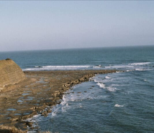 Discovering Kimmeridge (2)