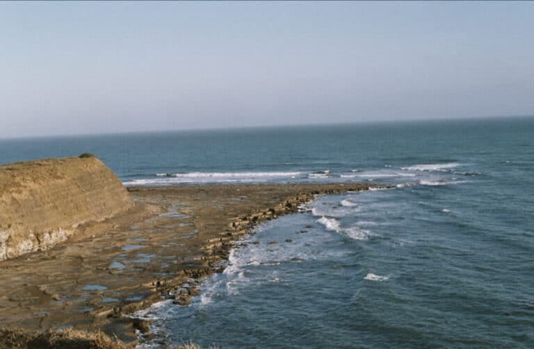 Discovering Kimmeridge (2)