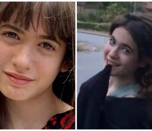 Cyberbullying at Jewish school led a Year 10 pupil to suicide