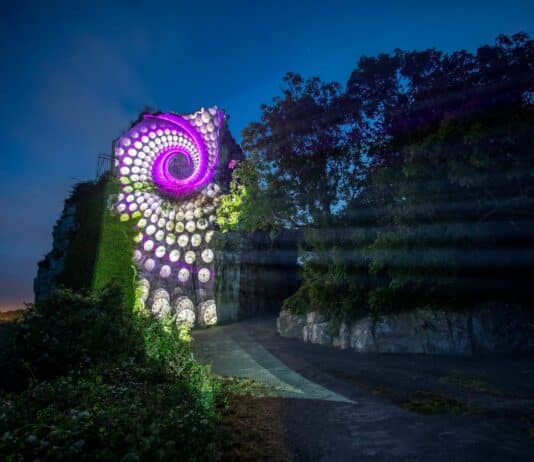 Full list of cultural organisations awarded funding by Dorset Council