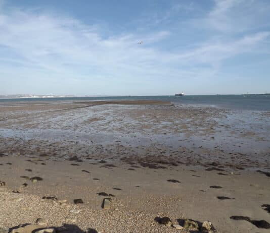 Discovering Portland Harbour