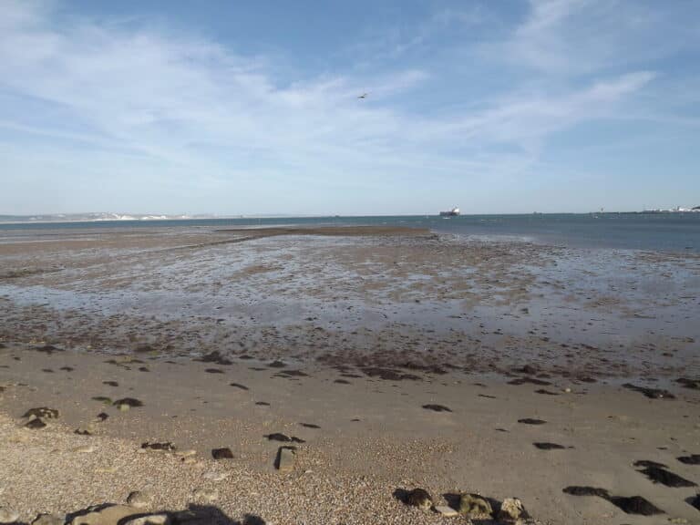 Discovering Portland Harbour