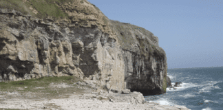 Discovering the Purbeck coast