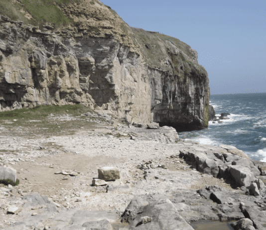 Discovering the Purbeck coast