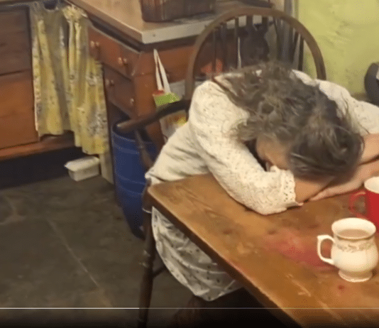 Pensioner’s house raided by Devon and Cornwall police for putting up Palestinain flag