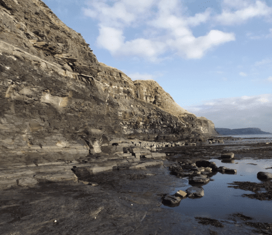 Discovering St Aldhelms Head