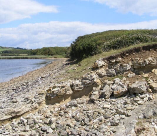 Discovering The Fleet (2)