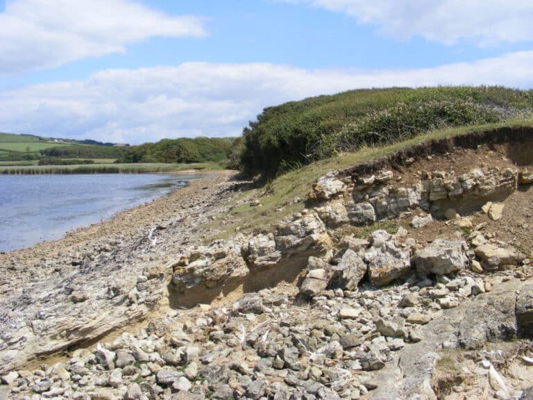 Discovering The Fleet (2)