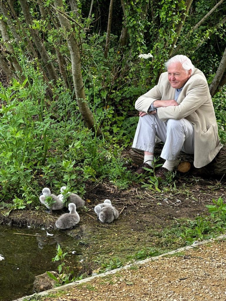 David Attenborough’s new programme was partially filmed in Dorset