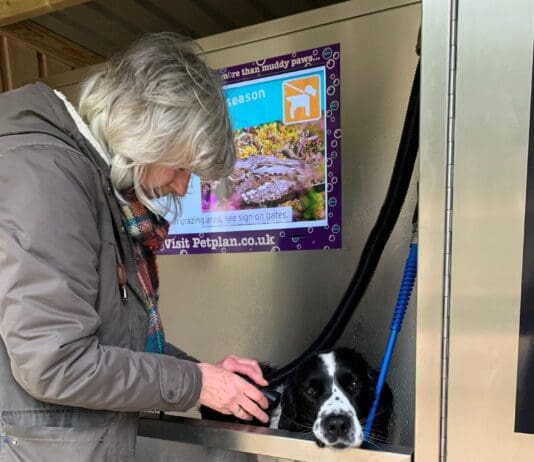 Dog Wash introduced at Thomas Hardy’s birthplace near Dorchester