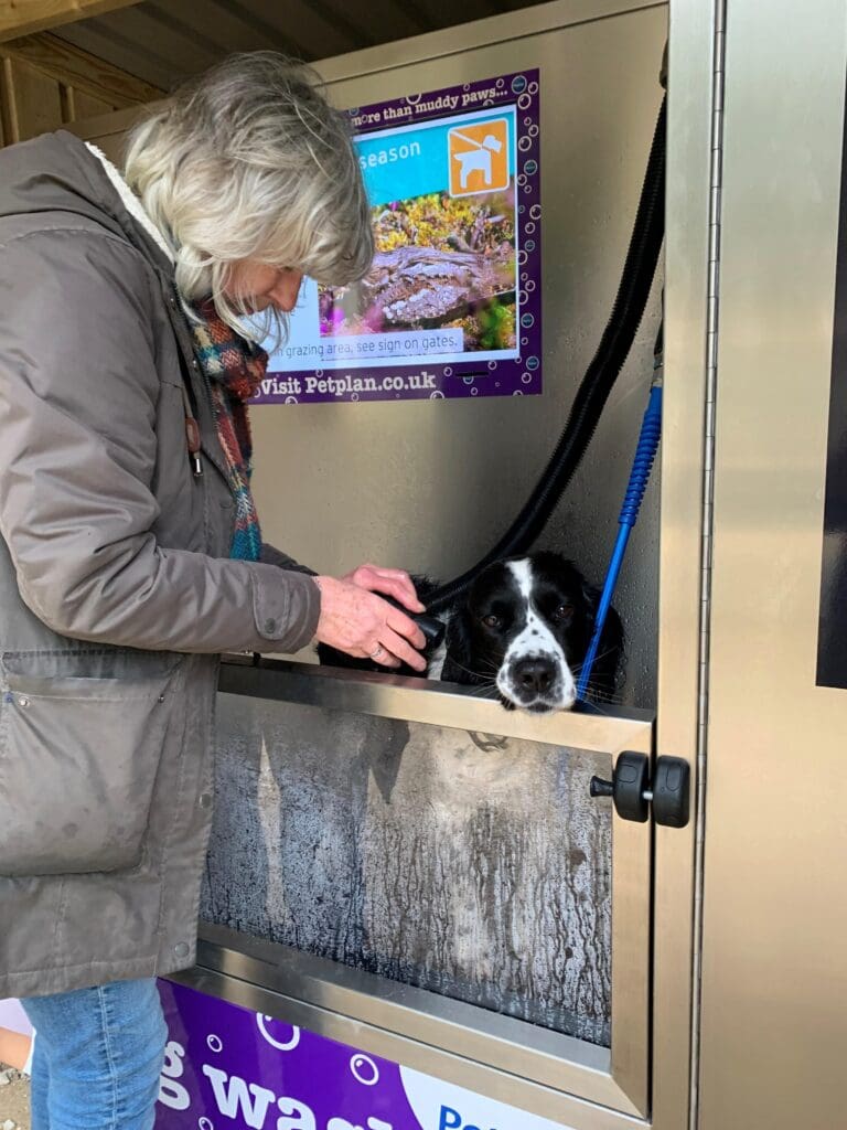 Dog Wash introduced at Thomas Hardy’s birthplace near Dorchester