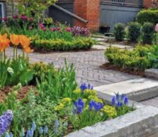 How to elevate your gardenÂ