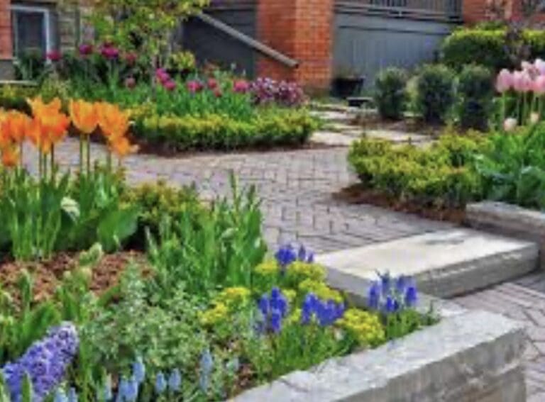 How to elevate your garden 