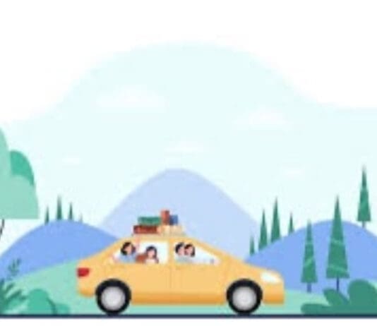 Pros and cons of travelling with your car