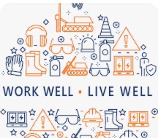 Transforming Dorset’s Workplaces: A New Era of Safety and Well-being