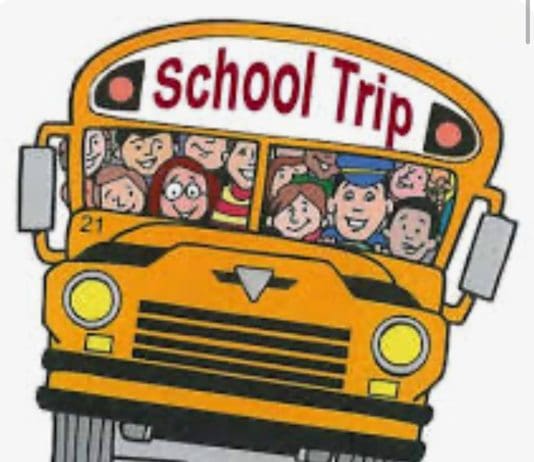 Best School Trip Ideas for Teachers in Dorset