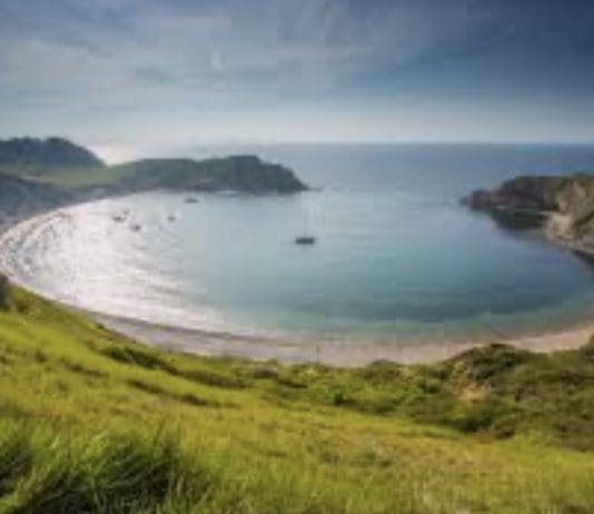 Safeguarding Our Community: How Businesses are Making Dorset Safer