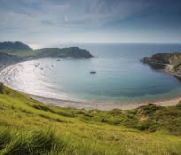 Safeguarding Our Community: How Businesses are Making Dorset Safer