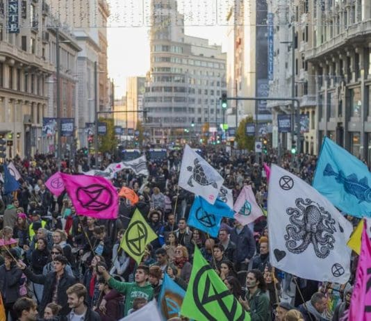 Stepping Up for the Climate: The 2023-2024 Campaign of Extinction Rebellion