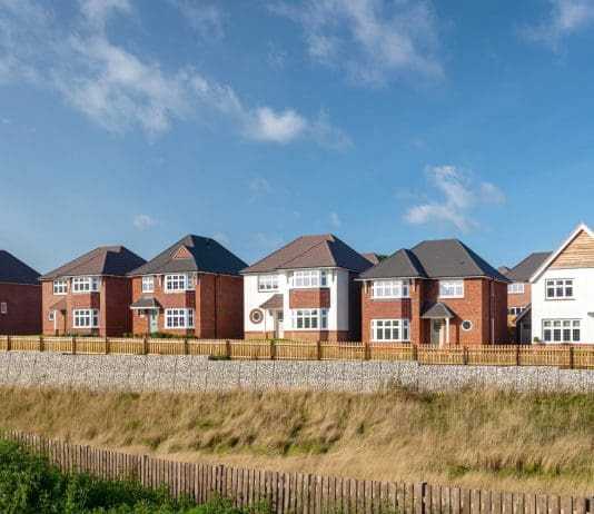 Dorset housebuilder launches search for longest ever resident