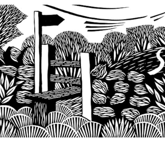 Protesters to hold mass trespass of Cirencester Park over plans to charge