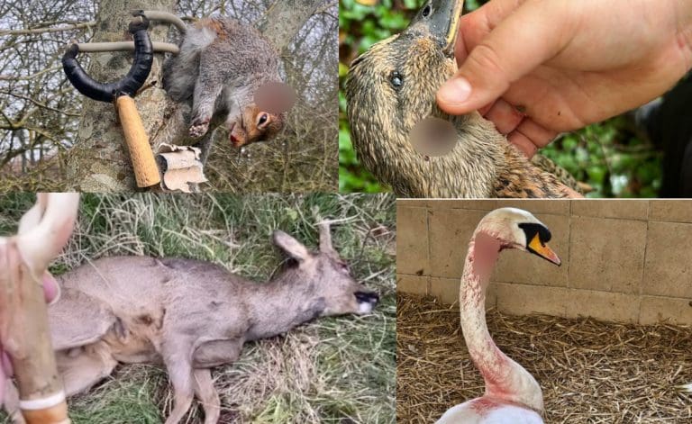 This behaviour suggests some children are becoming psychopaths