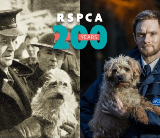 Sup-paw-ort your local RSPCA branch today with #EveryoneForEveryAnimal