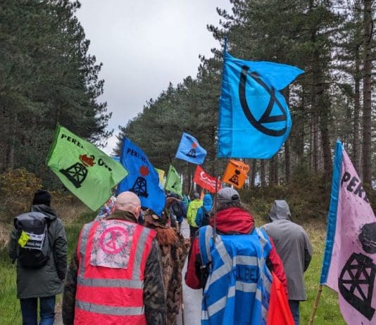 Poole Harbour Oil Spill, One Year On