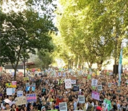 A Global Roar for Climate Justice: Fridays for Future Ignites a Green Revolution
