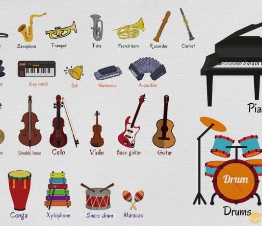 Unlocking musical potential: Exploring the most beginner-friendly musical instruments