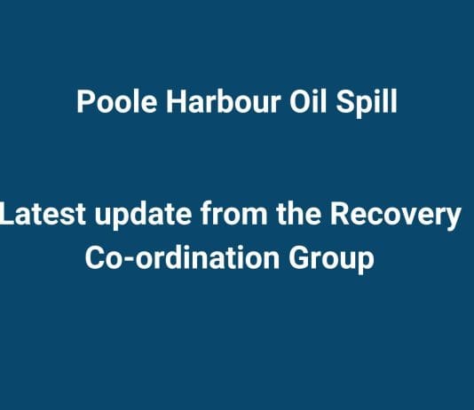Impact reports published following oil spill at Poole Harbour