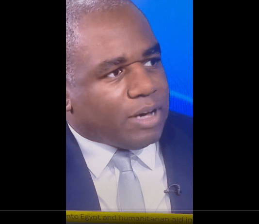 David Lammy received huge payment from Israeli lobbyist and then abstained from ceasefire vote
