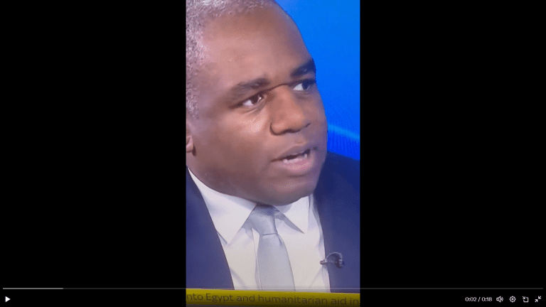 David Lammy received huge payment from Israeli lobbyist and then abstained from ceasefire vote