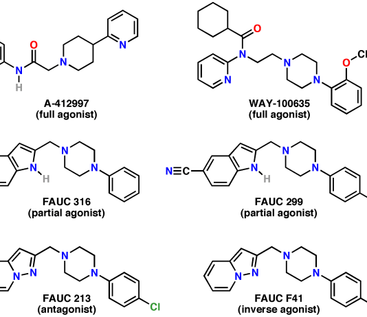 Why do some seek asylum and some stay put? The answer could be in our genes