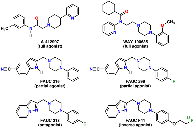 Why do some seek asylum and some stay put? The answer could be in our genes