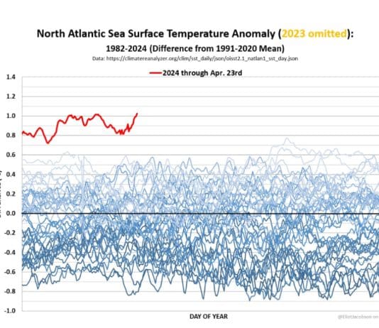 The Age of Terminal Idiocy