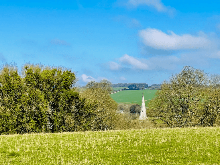 Teenage boy arrested after tractor stolen and driven around Dorchester area
