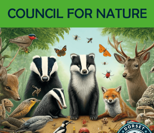 Â We Call on Dorset Council to be the Council for Nature