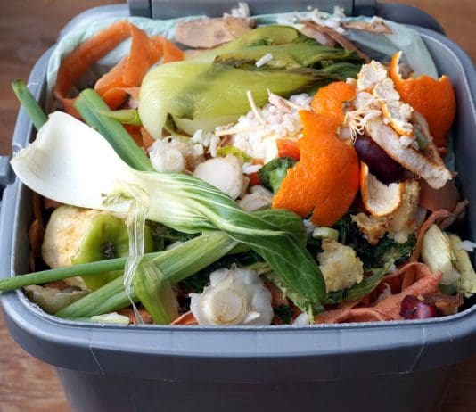 New food waste proposal for Poole