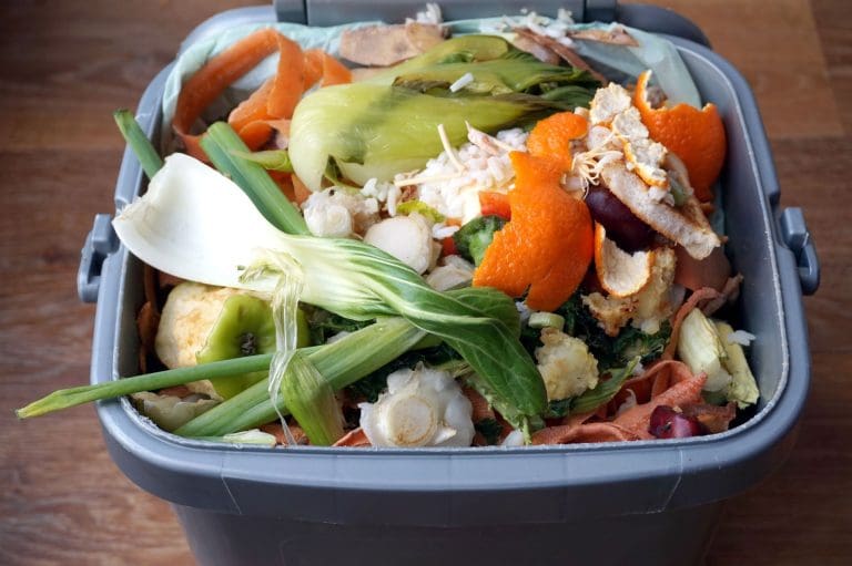 New food waste proposal for Poole