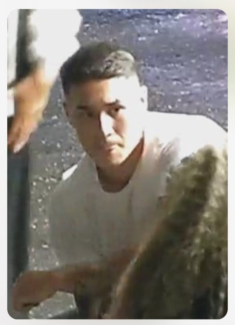 Men sought following serious assault and criminal damage in Poole