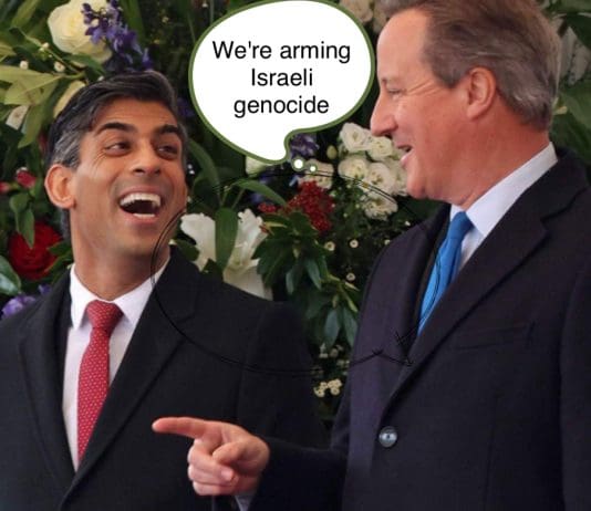 David Cameron is shamefully misleading the country over UK’s £1bn arms sales to IsraelÂ