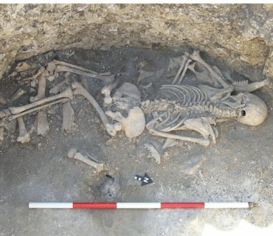 Female victim of sacrifice found in Dorset